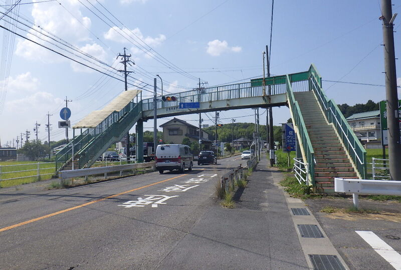 RIMG0883